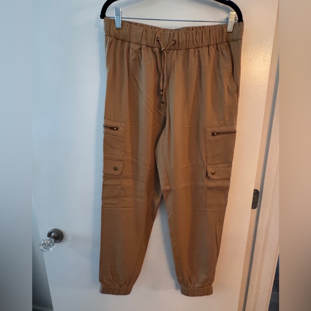 Banana Republic Tensel Cargo Jogger Pants with Elastic Waistband - Picture 2 of 6